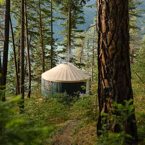 Rainier Outdoor Raven Yurt