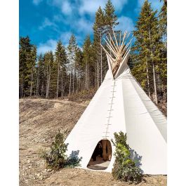 Teepee tent for outlet sale